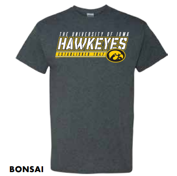 Iowa Hawkeyes Bonsai T- Shirt