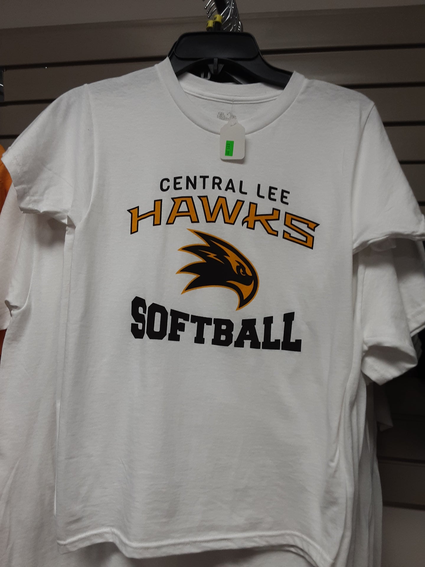 Central Lee Hawks Softball Gildan - DryBlend® T-Shirt